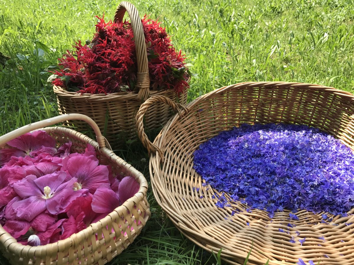 raccolto fiori pua