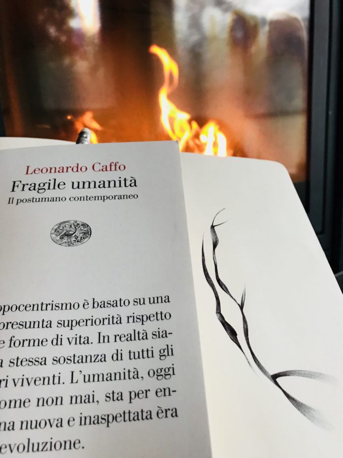 indicatori movimento 177